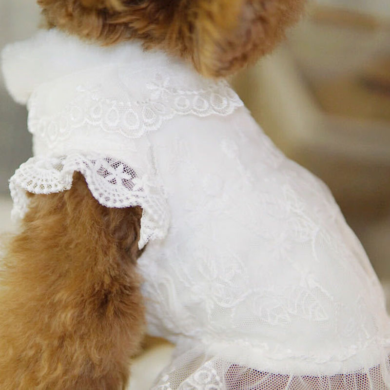 White Dog Clothes Winter Fur C - Winter Clothing Kids review and price