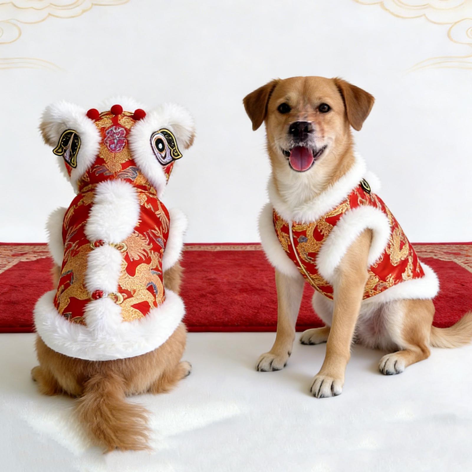 Lion Dance Cat Costume Winter  - Winter Clothing Dress Up review and price