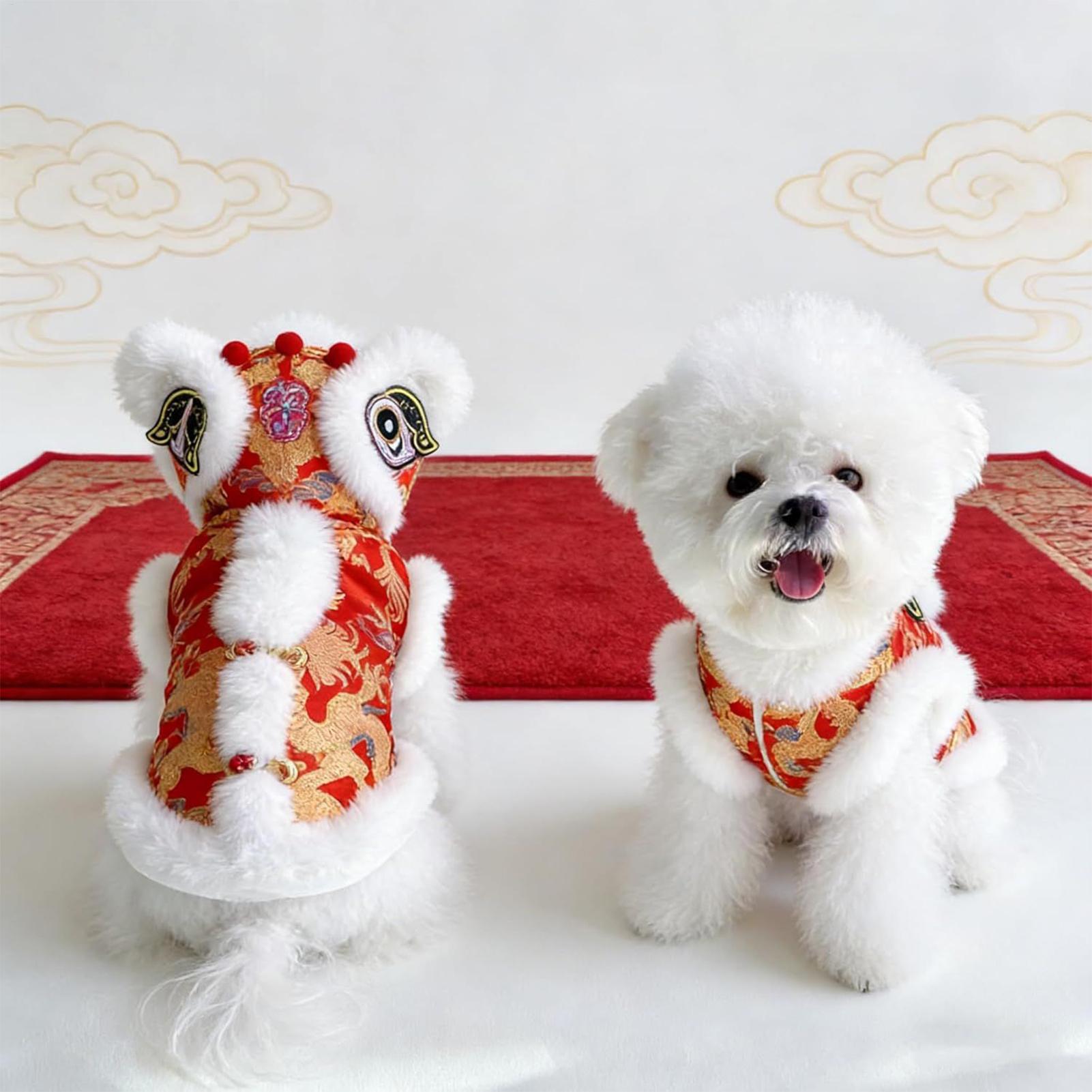 Lion Dance Cat Costume Winter  - Winter Clothing Dress Up review and price