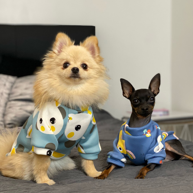 Xs Dog Clothes for Small Dogs  - Winter Clothing Kids review and price