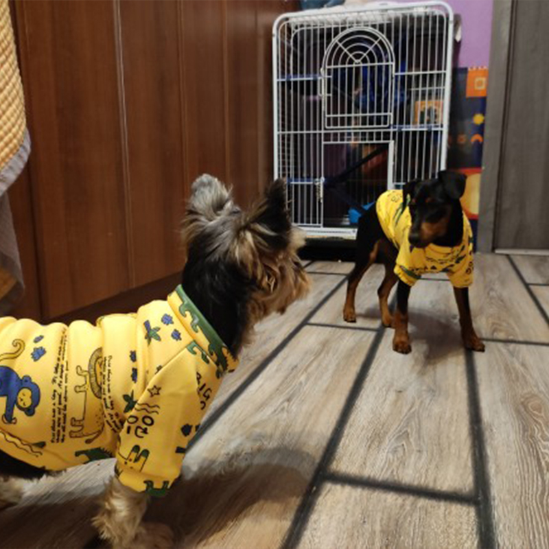 Xs Dog Clothes for Small Dogs  - Winter Clothing Kids review and price